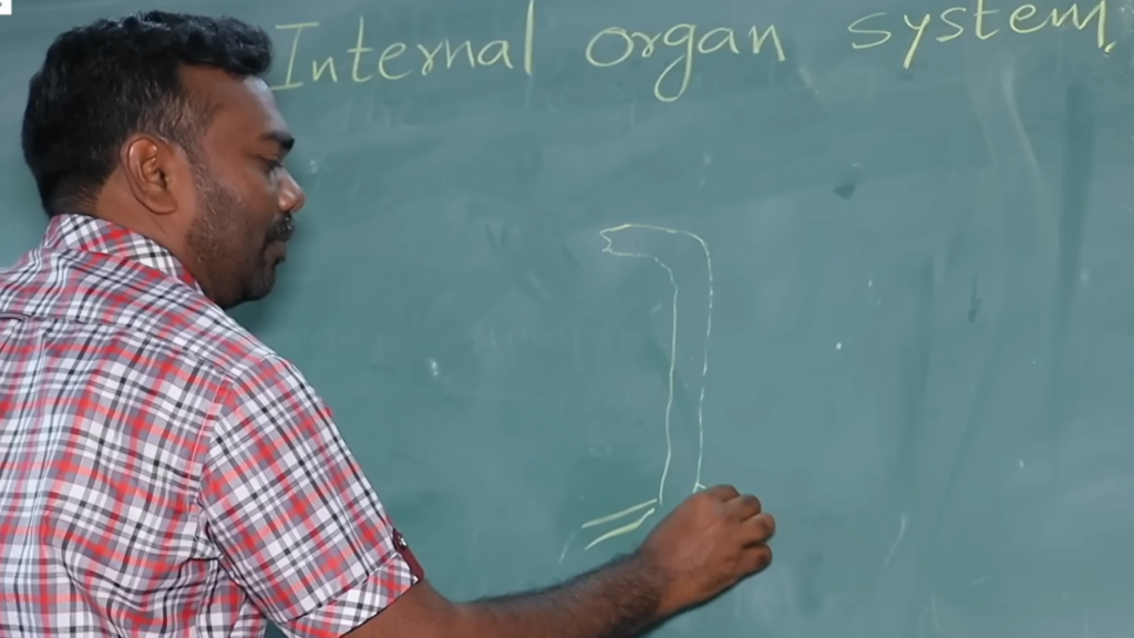 Telangana Viral Teacher